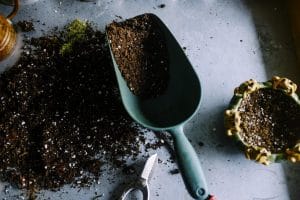 En quoi consiste l’éco-jardinage?