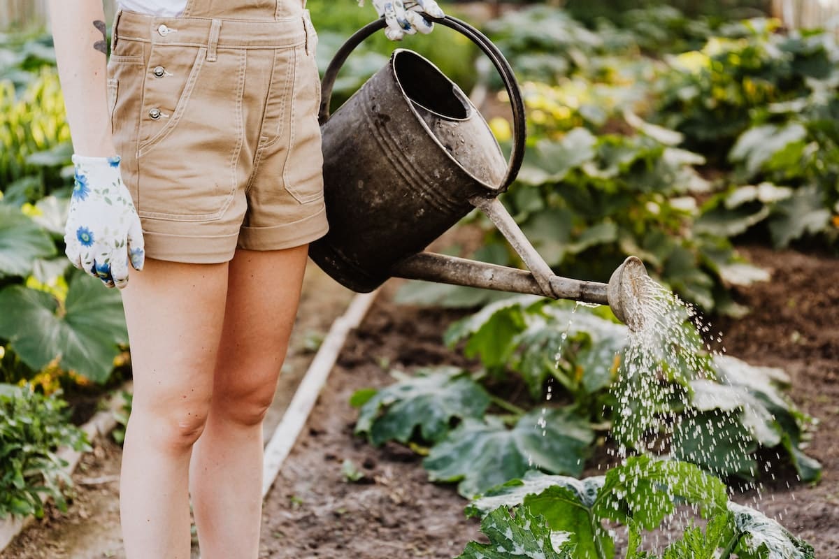 Conseils et astuces pour profiter pleinement de votre passion pour le jardinage !